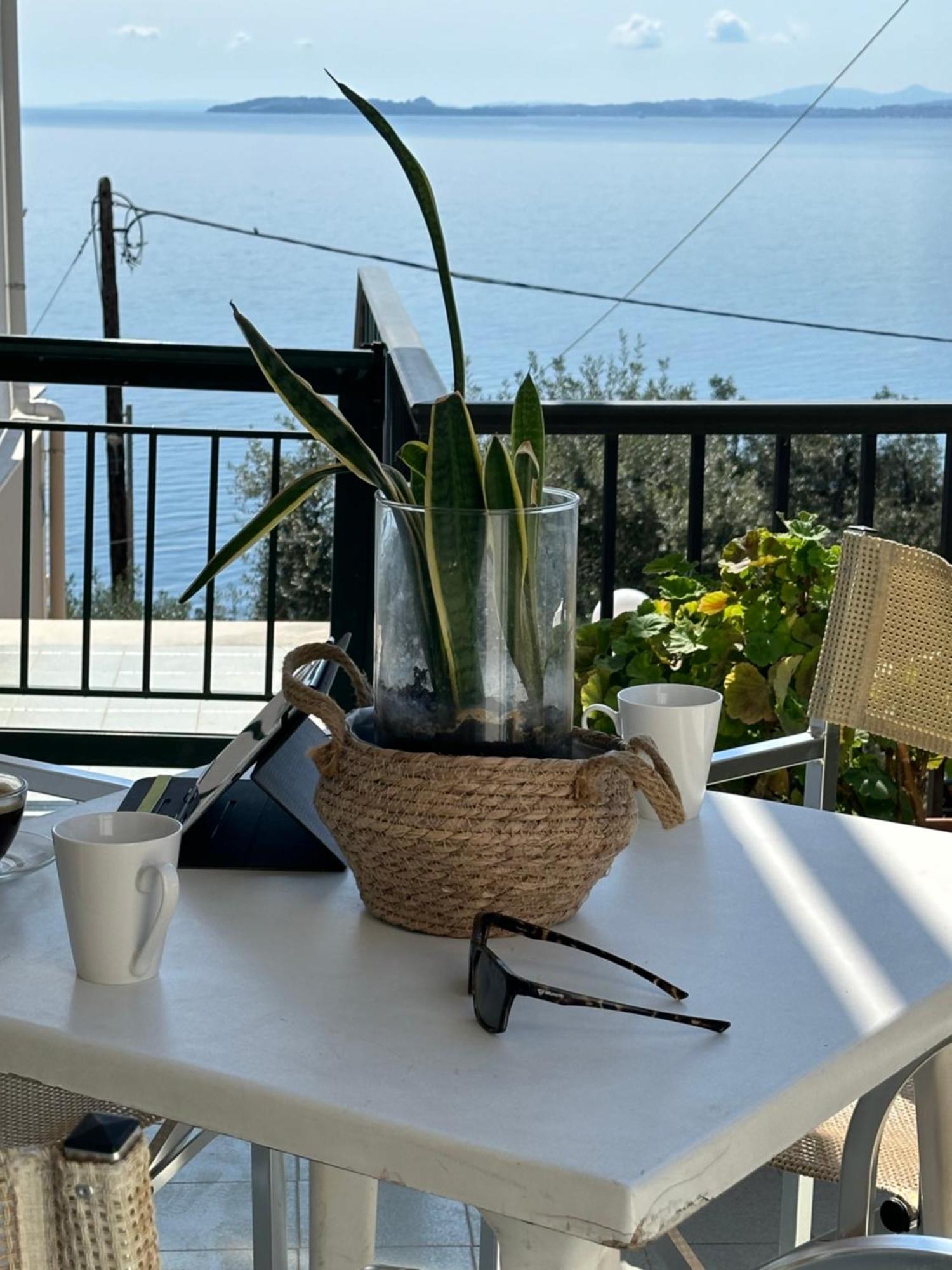 Vladimiros Apartments Barbati Exterior photo