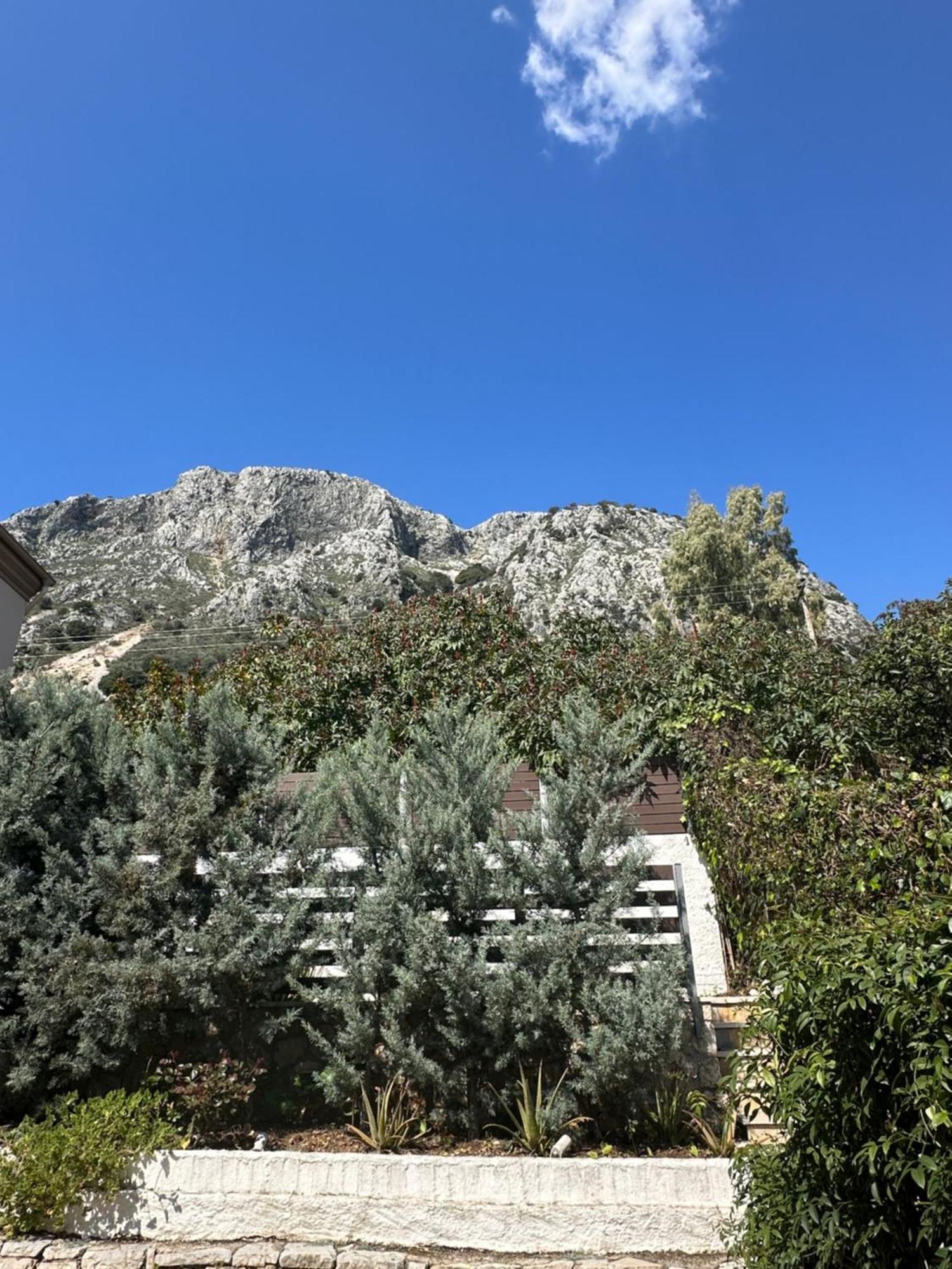 Vladimiros Apartments Barbati Exterior photo