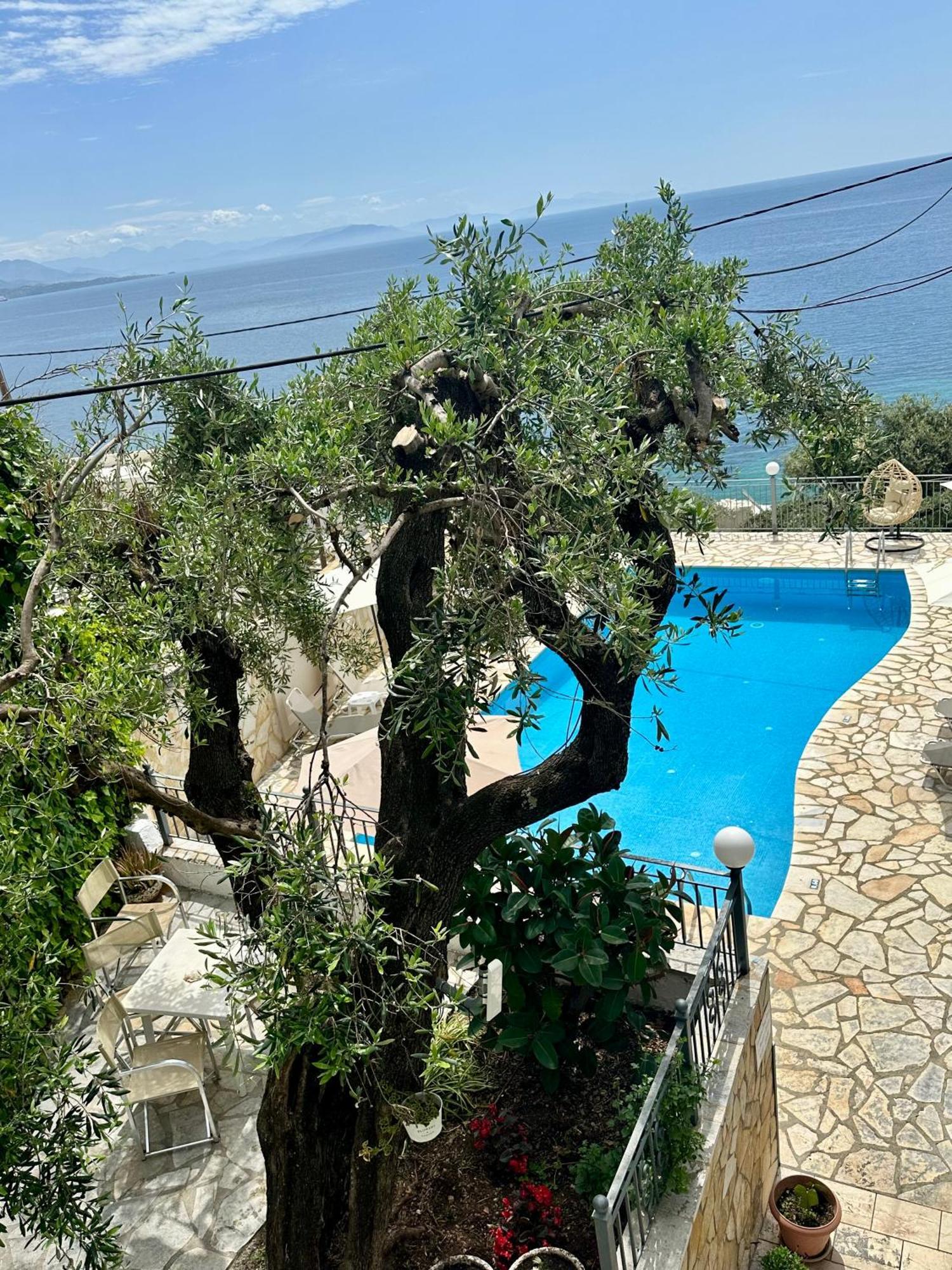Vladimiros Apartments Barbati Exterior photo